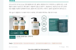 워드프레스 하단 광고 넣기