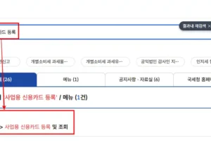 홈택스 사업용 신용카드 등록 방법