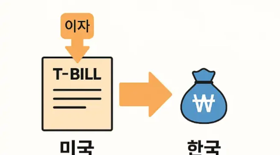 미국 단기국채 과세 구조